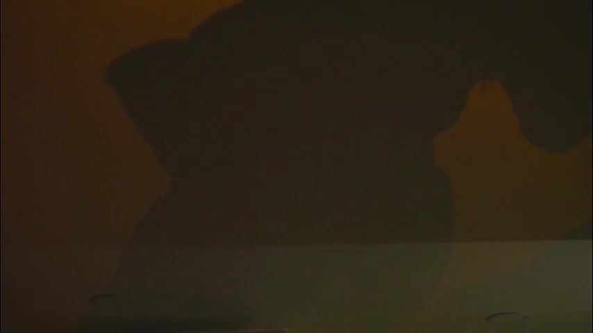 xxx_sunset Adult Chat January 2, 2026