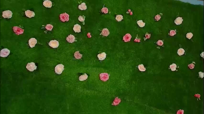 megatitts_ Adult Chat January 3, 2026