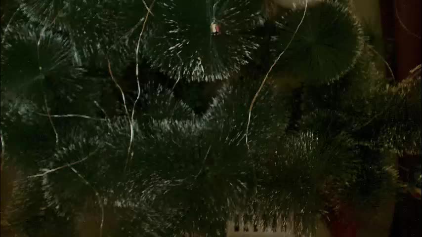 imcarrieberry Adult Chat January 3, 2026