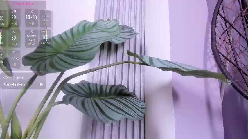 sara_connde Adult Chat January 3, 2026