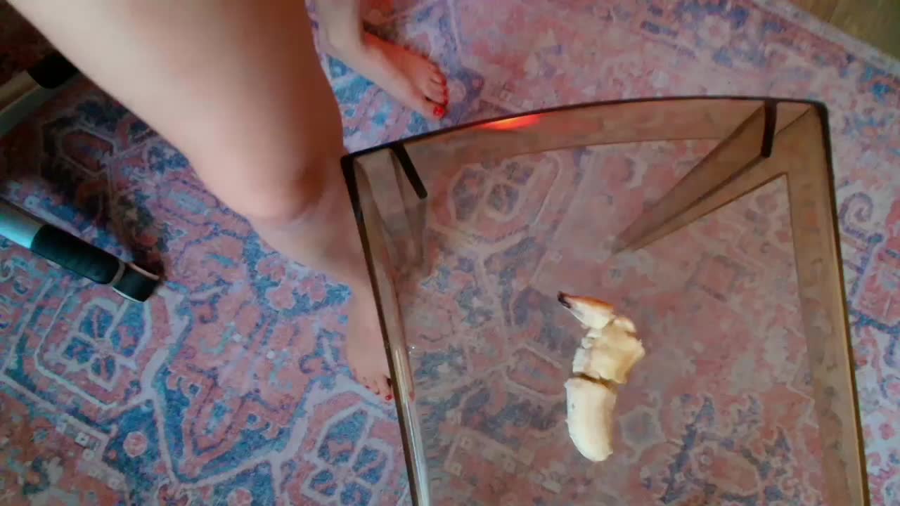 MissMotivated Adult Chat January 3, 2026