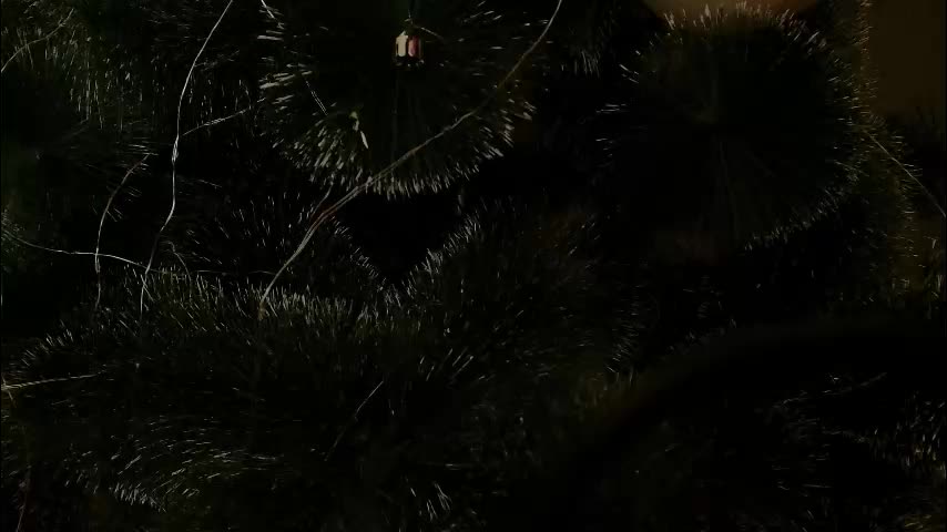 imcarrieberry Adult Chat January 3, 2026