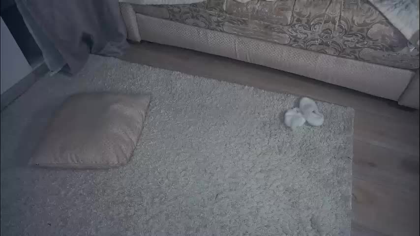 meghanantell Adult Chat January 3, 2026