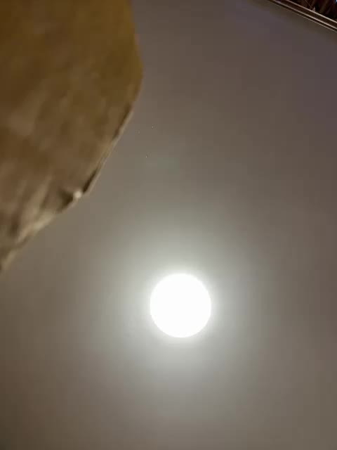 Uliae_Kiska Adult Chat January 3, 2026