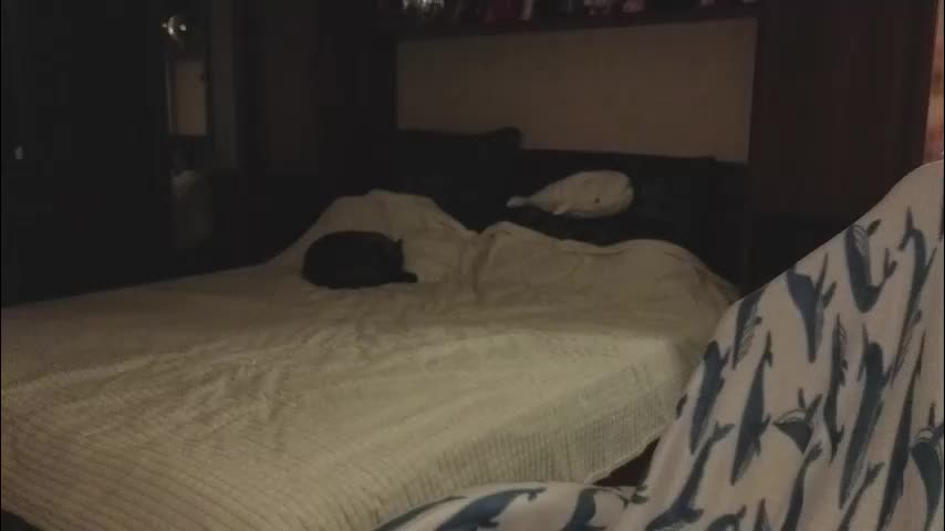 wow_luvng Adult Chat January 3, 2026