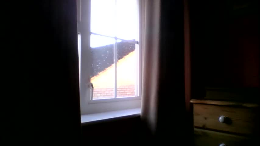 annecharlie Adult Chat January 4, 2026