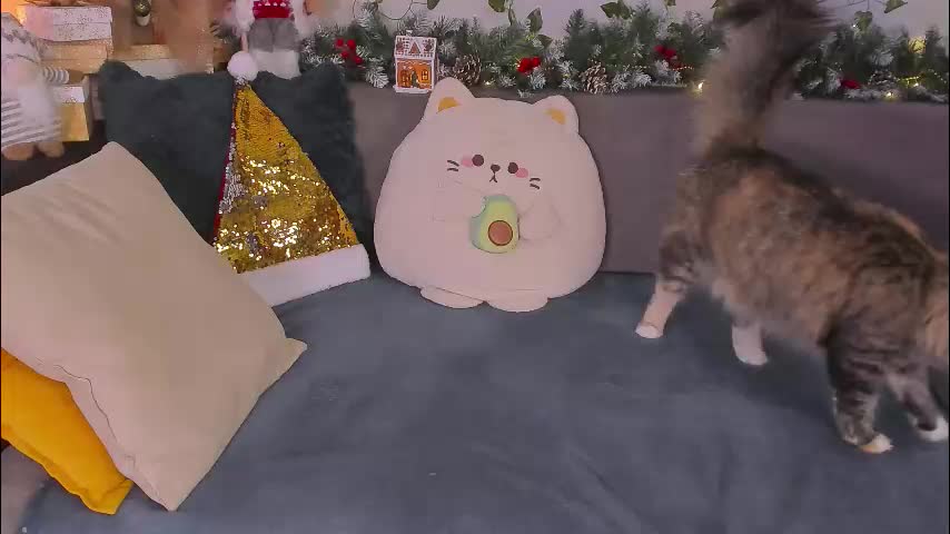 tori_the_witch Adult Chat January 4, 2026