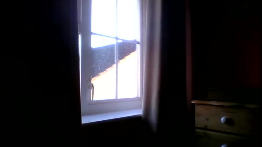 annecharlie Adult Chat January 4, 2026