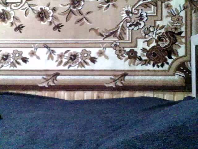 Viktoriia21 Adult Chat January 3, 2026