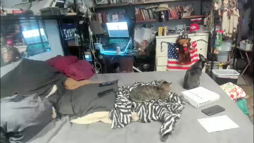 pink_black Adult Chat January 4, 2026