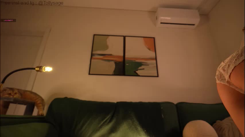 tollysage Adult Chat January 4, 2026