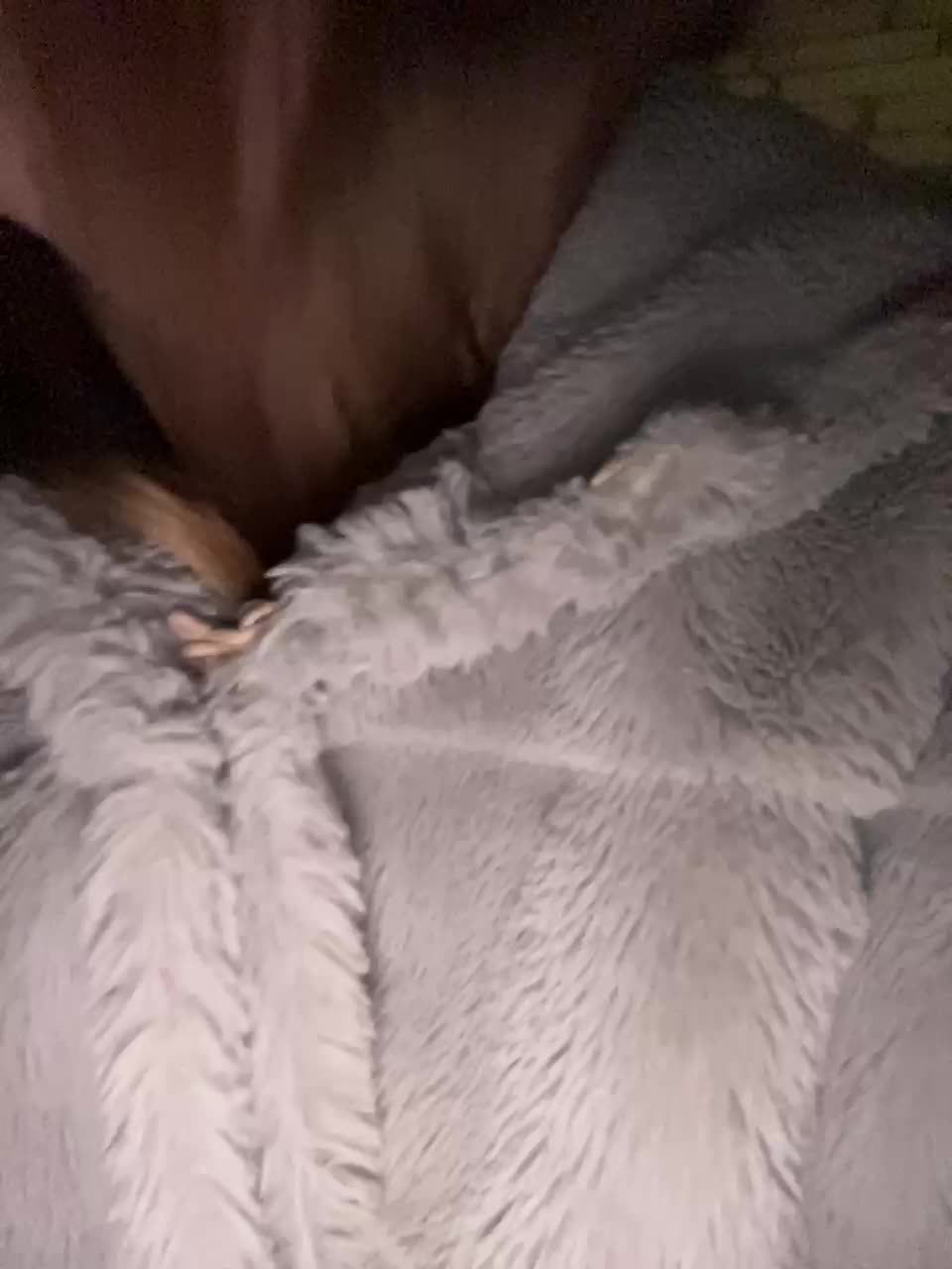 SWEET1SQUIRT Adult Chat January 4, 2026