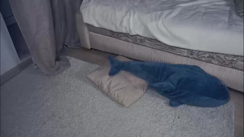 meghanantell Adult Chat January 4, 2026