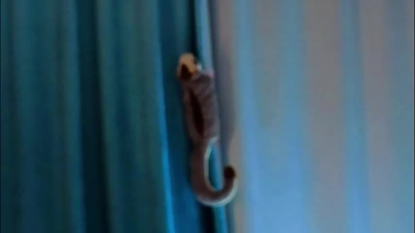 jolyndeb Adult Chat January 4, 2026