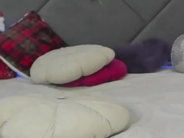 HollyTaillor Adult Chat January 4, 2026