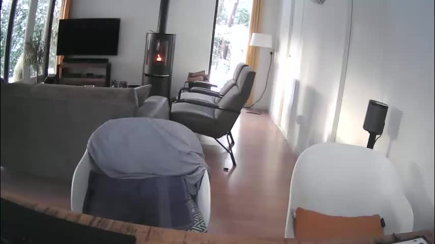 woodwurm Adult Chat January 5, 2026