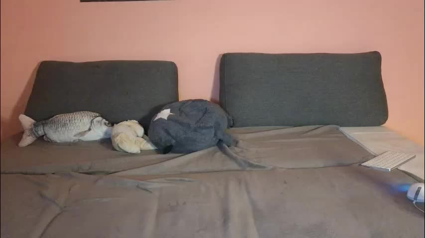 katusha008 Adult Chat January 5, 2026