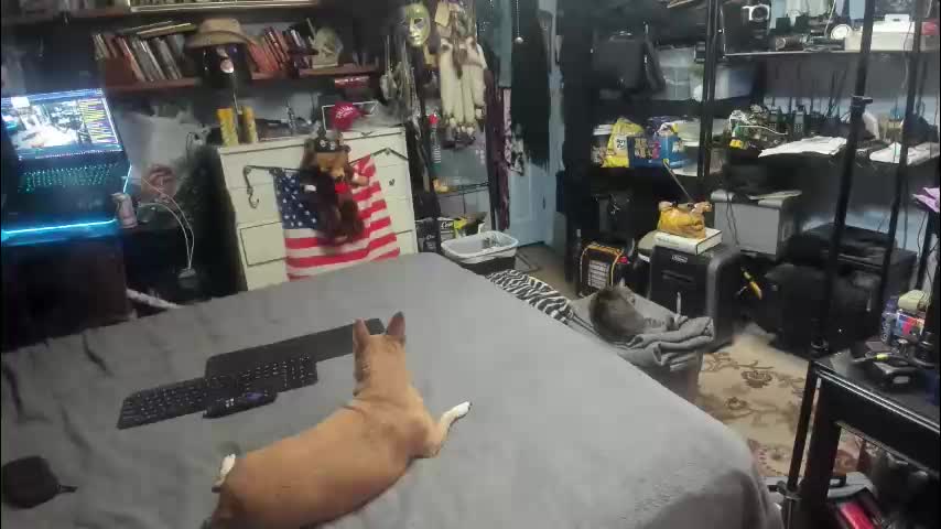 pink_black Adult Chat January 5, 2026