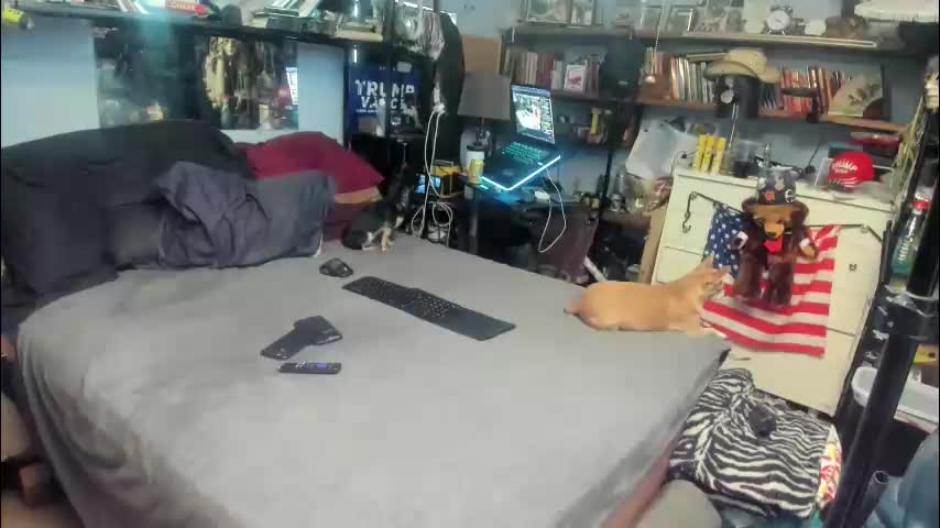 pink_black Adult Chat January 5, 2026