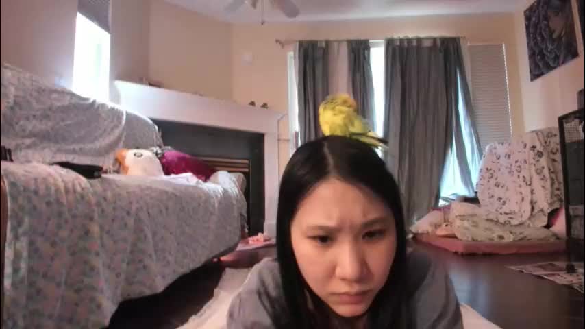 alizezaide Adult Chat January 5, 2026