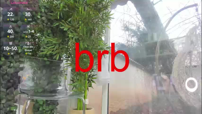 lexi_storm Adult Chat January 5, 2026