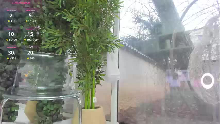 lexi_storm Adult Chat January 5, 2026