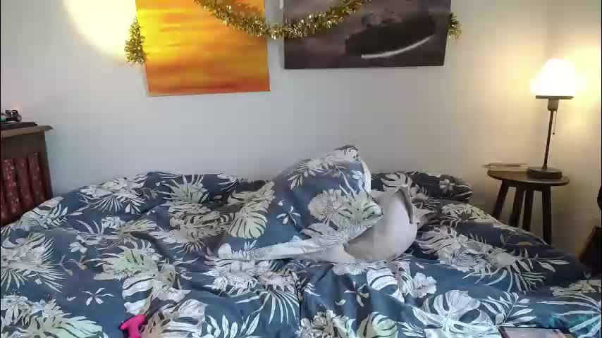 alice8363 Adult Chat January 5, 2026