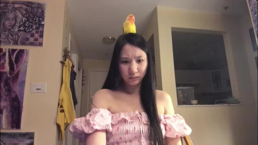 alizezaide Adult Chat January 6, 2026