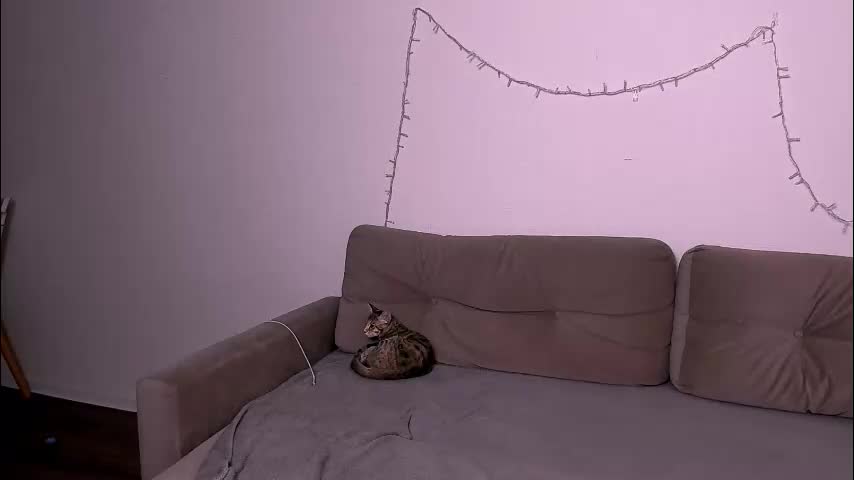 ladytrep Adult Chat January 6, 2026