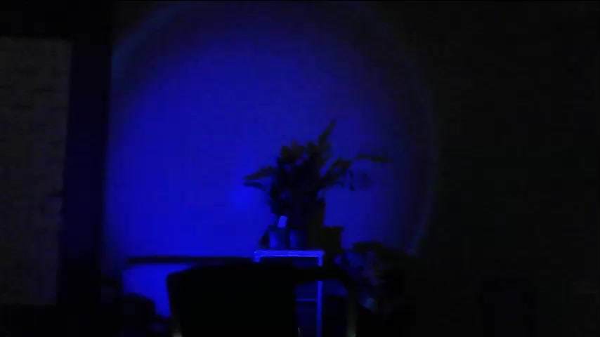 Roselina Adult Chat January 7, 2026