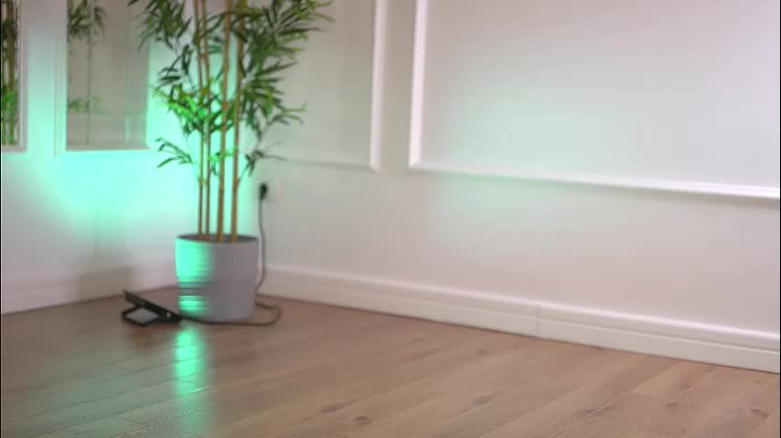 alexxiskye Adult Chat January 6, 2026