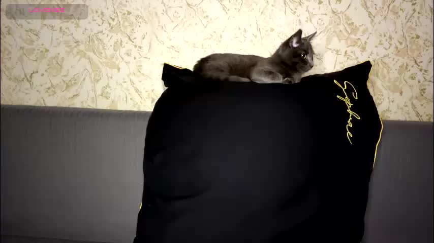 drutywerri Adult Chat January 7, 2026