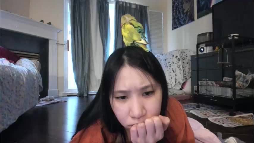 alizezaide Adult Chat January 7, 2026