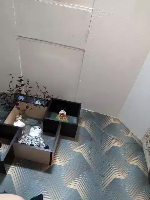 GumaLis13 Adult Chat January 7, 2026