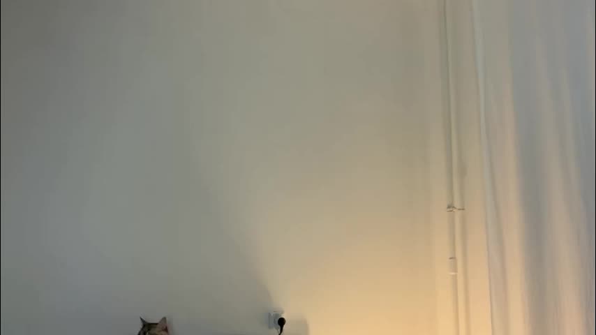 milky__way_ Adult Chat January 8, 2026