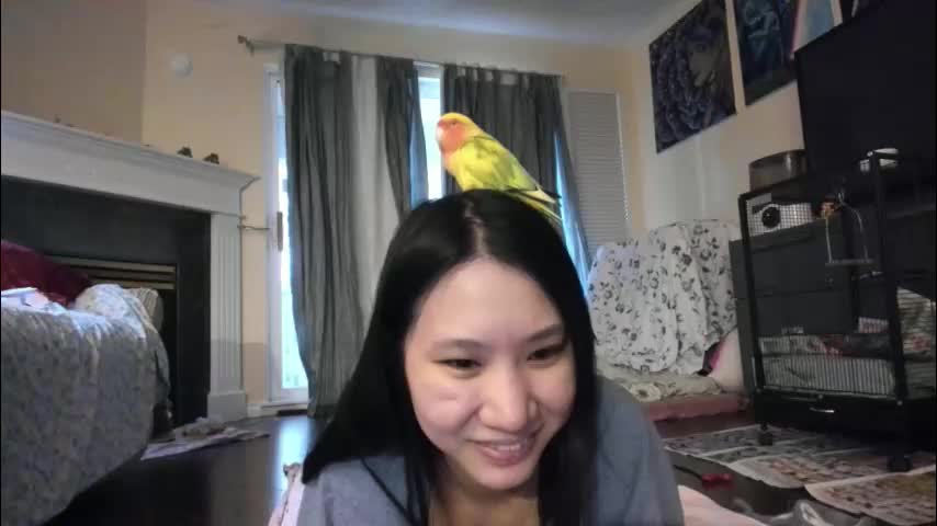 alizezaide Adult Chat January 8, 2026