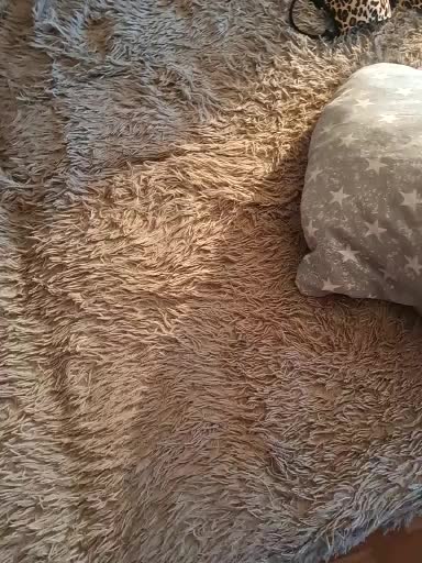 Kirill_Maria Adult Chat January 8, 2026