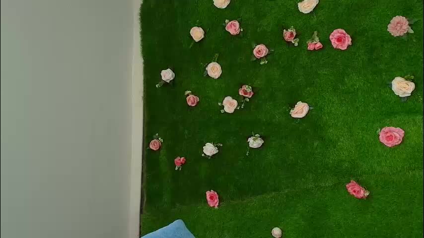 megatitts_ Adult Chat January 8, 2026