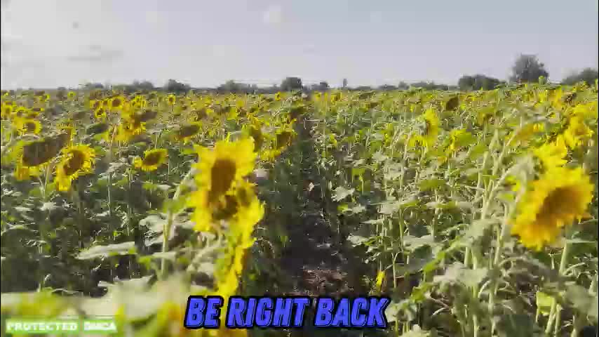 sunflower0907 Adult Chat January 8, 2026