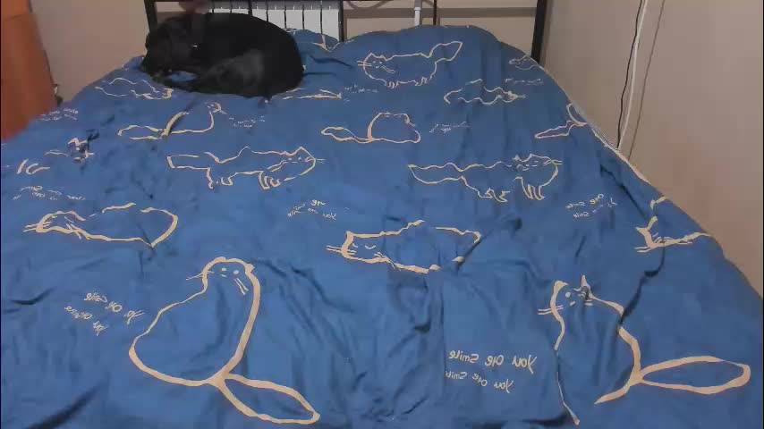 eva_zero Adult Chat January 9, 2026