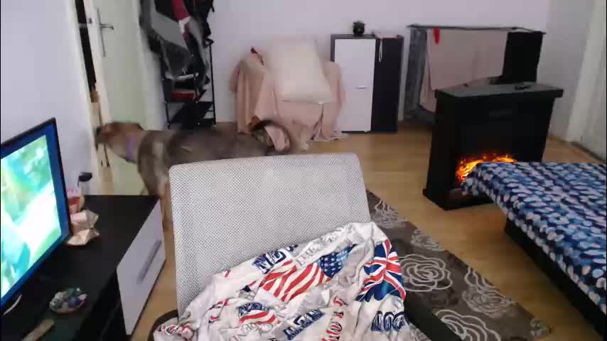 aliens4twenty Adult Chat January 9, 2026