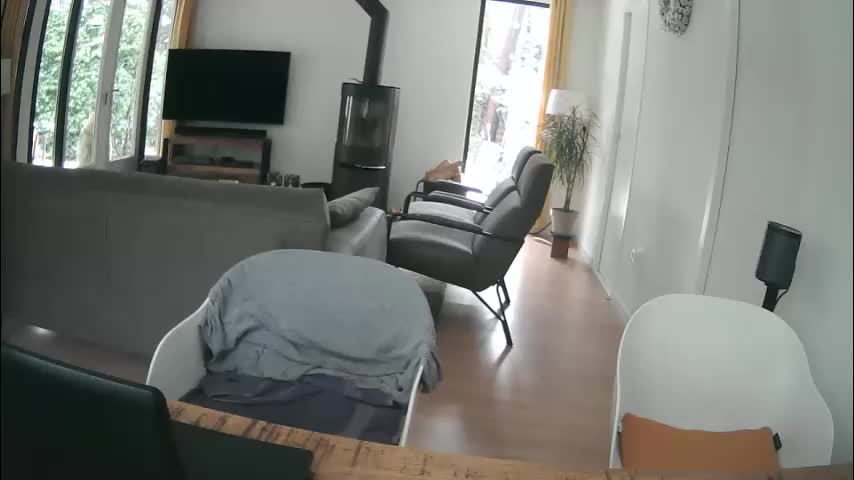 woodwurm Adult Chat January 9, 2026