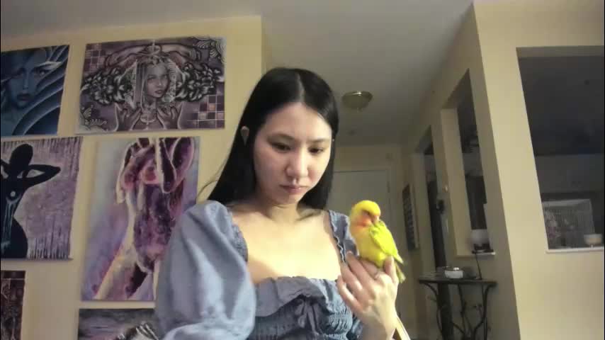 alizezaide Adult Chat January 10, 2026