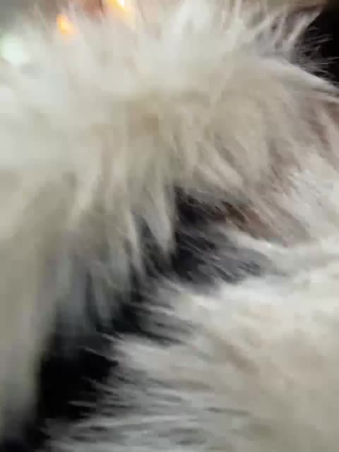 Marianna_ Adult Chat January 10, 2026