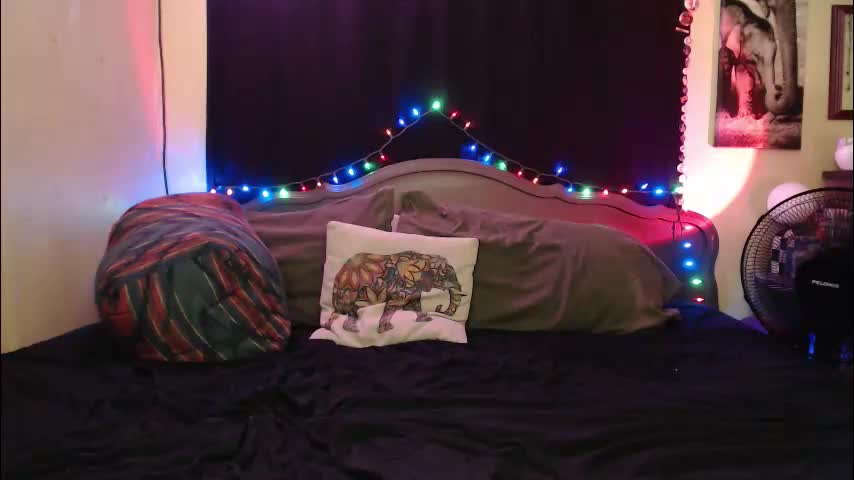 foxymalloryknoxy69 Adult Chat January 10, 2026