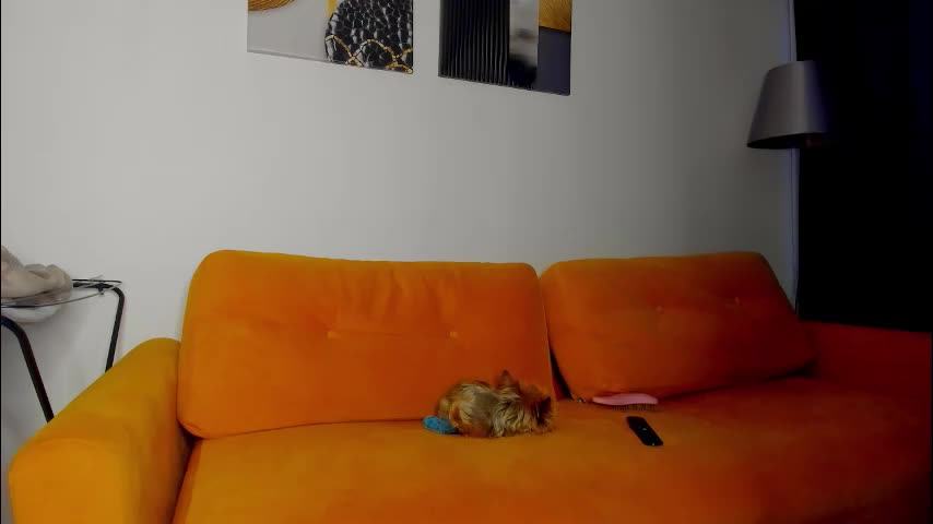 patricia_bloom Adult Chat January 10, 2026