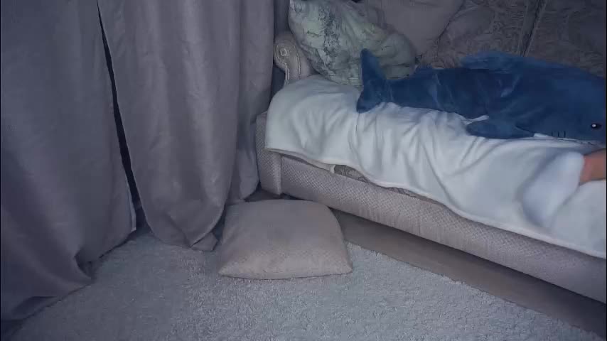 meghanantell Adult Chat January 11, 2026