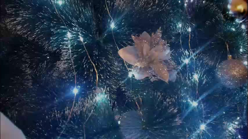 imcarrieberry Adult Chat January 11, 2026