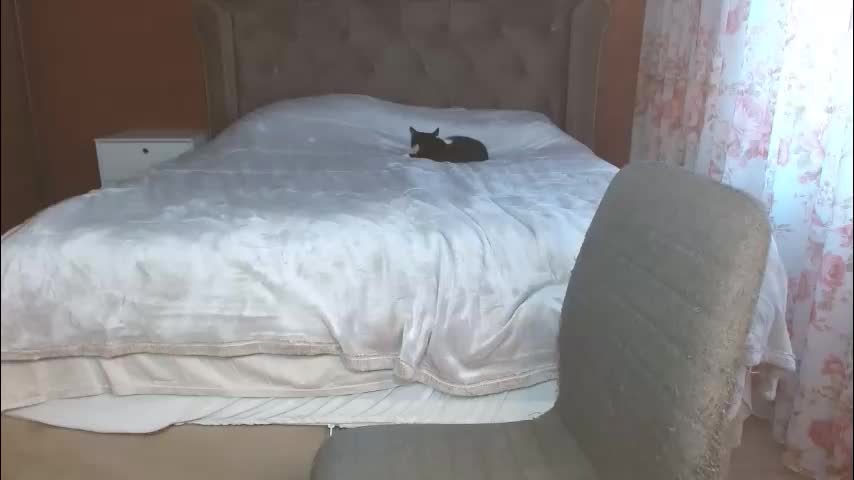 mishakiss34 Adult Chat January 11, 2026