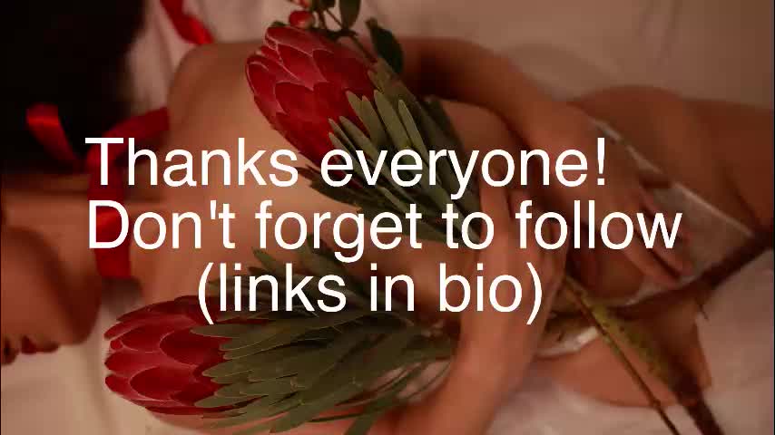 _protea Adult Chat January 10, 2026